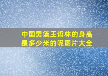 中国男篮王哲林的身高是多少米的呢图片大全