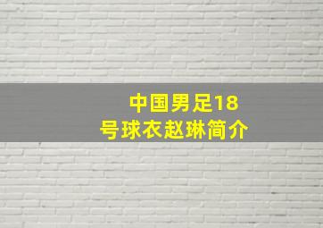 中国男足18号球衣赵琳简介