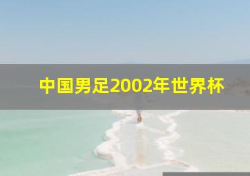 中国男足2002年世界杯