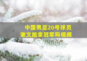 中国男足20号球员谢文能拿冠军吗视频