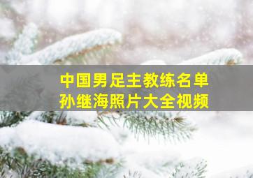 中国男足主教练名单孙继海照片大全视频