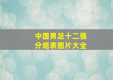 中国男足十二强分组表图片大全