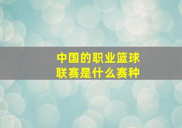 中国的职业篮球联赛是什么赛种