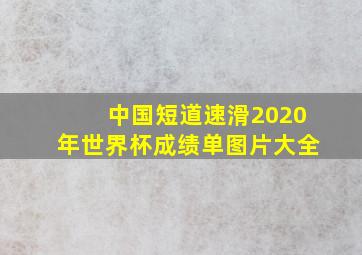 中国短道速滑2020年世界杯成绩单图片大全