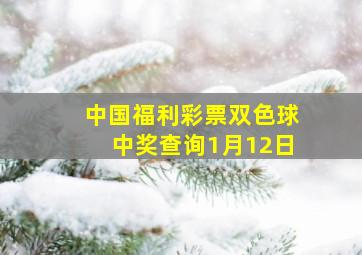 中国福利彩票双色球中奖查询1月12日