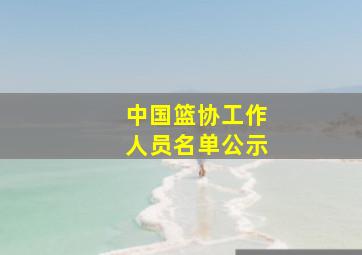 中国篮协工作人员名单公示