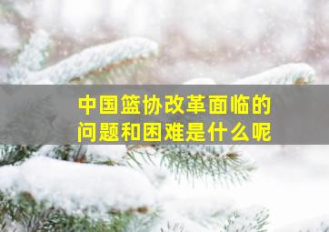 中国篮协改革面临的问题和困难是什么呢