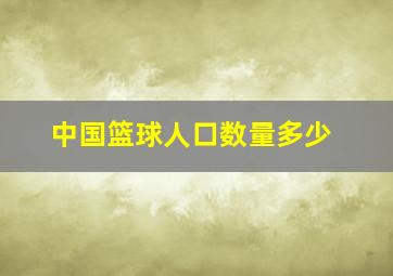 中国篮球人口数量多少