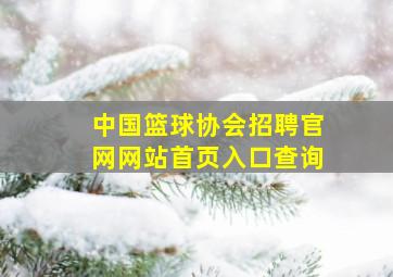 中国篮球协会招聘官网网站首页入口查询