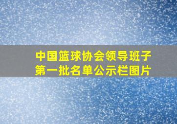 中国篮球协会领导班子第一批名单公示栏图片