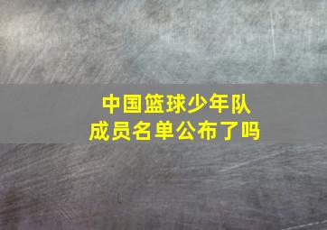 中国篮球少年队成员名单公布了吗