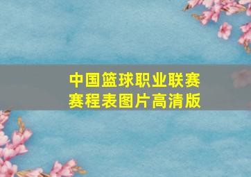 中国篮球职业联赛赛程表图片高清版