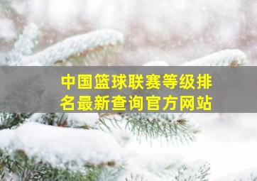 中国篮球联赛等级排名最新查询官方网站