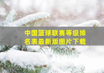 中国篮球联赛等级排名表最新版图片下载