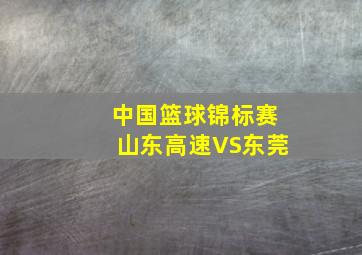 中国篮球锦标赛山东高速VS东莞