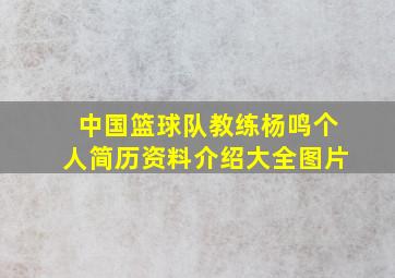 中国篮球队教练杨鸣个人简历资料介绍大全图片