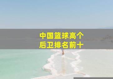 中国篮球高个后卫排名前十