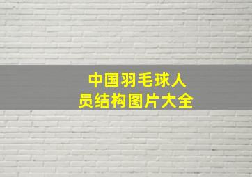 中国羽毛球人员结构图片大全