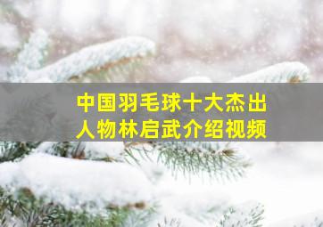 中国羽毛球十大杰出人物林启武介绍视频