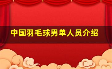 中国羽毛球男单人员介绍