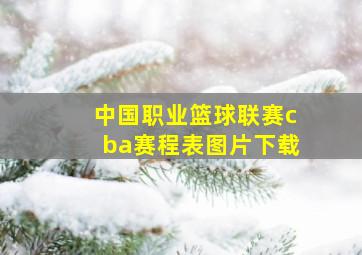 中国职业篮球联赛cba赛程表图片下载