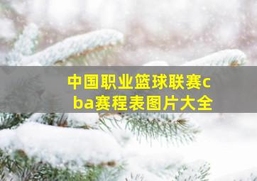 中国职业篮球联赛cba赛程表图片大全