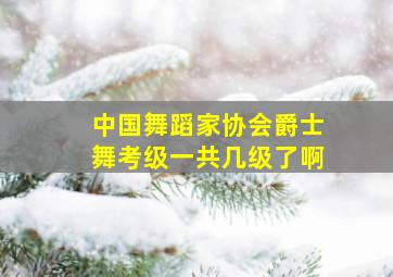 中国舞蹈家协会爵士舞考级一共几级了啊