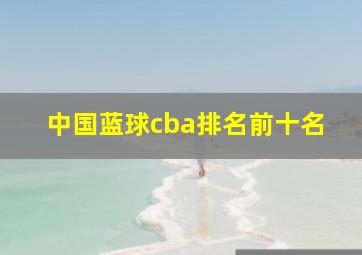 中国蓝球cba排名前十名