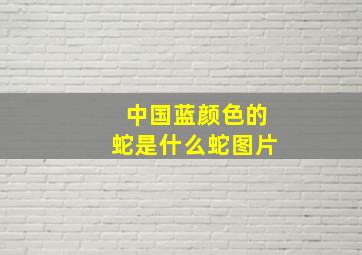 中国蓝颜色的蛇是什么蛇图片