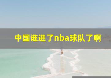 中国谁进了nba球队了啊