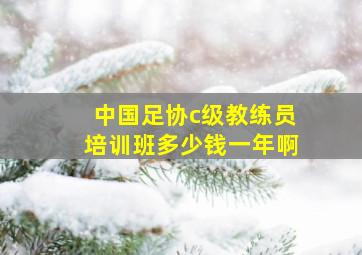 中国足协c级教练员培训班多少钱一年啊