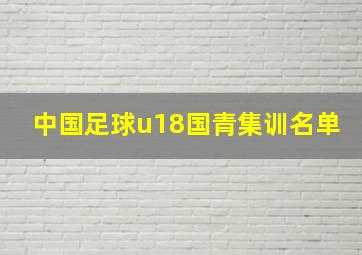 中国足球u18国青集训名单