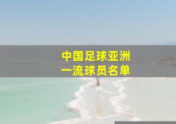 中国足球亚洲一流球员名单