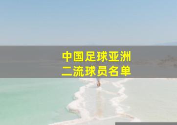 中国足球亚洲二流球员名单