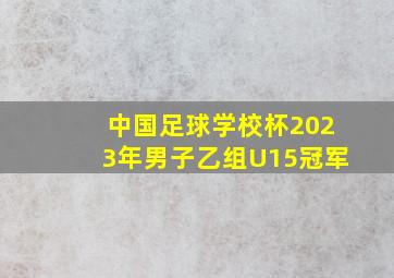 中国足球学校杯2023年男子乙组U15冠军