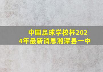 中国足球学校杯2024年最新消息湘潭县一中