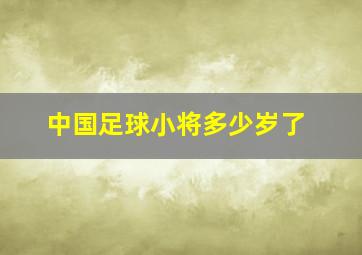 中国足球小将多少岁了