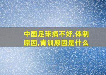 中国足球搞不好,体制原因,青训原因是什么