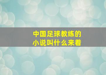 中国足球教练的小说叫什么来着