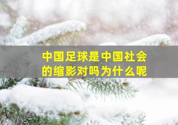 中国足球是中国社会的缩影对吗为什么呢