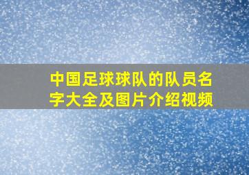 中国足球球队的队员名字大全及图片介绍视频