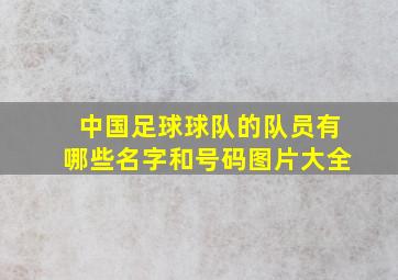 中国足球球队的队员有哪些名字和号码图片大全