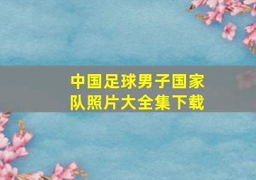 中国足球男子国家队照片大全集下载