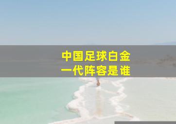 中国足球白金一代阵容是谁