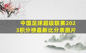 中国足球超级联赛2023积分榜最新比分表图片