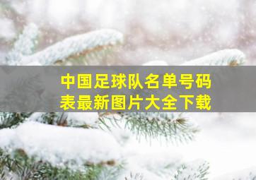 中国足球队名单号码表最新图片大全下载