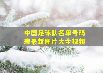 中国足球队名单号码表最新图片大全视频