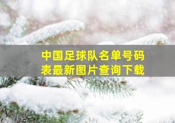 中国足球队名单号码表最新图片查询下载