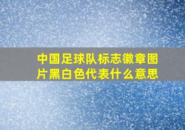 中国足球队标志徽章图片黑白色代表什么意思