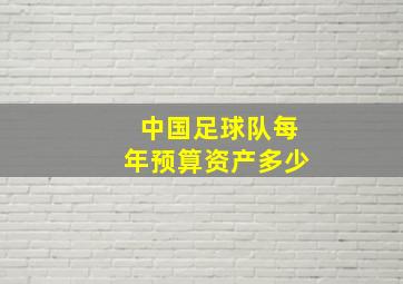 中国足球队每年预算资产多少